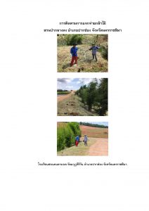 สวนป่ากลางดง-แปลงปลูก59 แปลงที่ 9