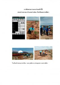 สวนป่ากลางดง-แปลงปลูก59 แปลงที่ 14