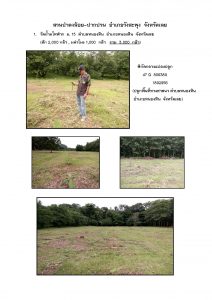 สวนป่าดงน้อย-ปากปวน จังหวัดเลย-แปลงปลูก59 แปลงที่ 1