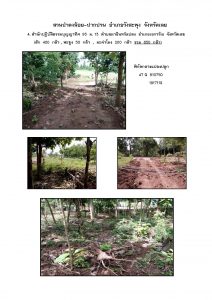 สวนป่าดงน้อย-ปากปวน จังหวัดเลย-แปลงปลูก59 แปลงที่ 4