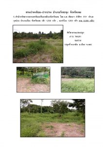 สวนป่าดงน้อย-ปากปวน จังหวัดเลย-แปลงปลูก59 แปลงที่ 5