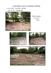 สวนป่าดงน้อย-ปากปวน จังหวัดเลย-แปลงปลูก59 แปลงที่ 12