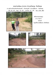 สวนป่าดงน้อย-ปากปวน จังหวัดเลย-แปลงปลูก59 แปลงที่ 16