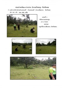 สวนป่าดงน้อย-ปากปวน จังหวัดเลย-แปลงปลูก59 แปลงที่ 17