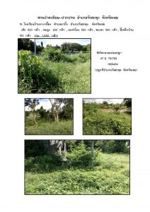 สวนป่าดงน้อย-ปากปวน จังหวัดเลย-แปลงปลูก59 แปลงที่ 18