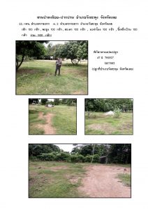 สวนป่าดงน้อย-ปากปวน จังหวัดเลย-แปลงปลูก59 แปลงที่ 22