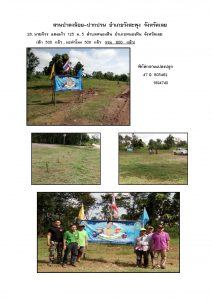 สวนป่าดงน้อย-ปากปวน จังหวัดเลย-แปลงปลูก59 แปลงที่ 28