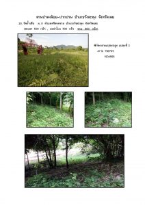 สวนป่าดงน้อย-ปากปวน จังหวัดเลย-แปลงปลูก59 แปลงที่ 29