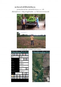 สถานีเพาะชำกล้าไม้จังหวัดศรีสะเกษ - แปลงปลูกต้นไม้59 แปลงที่ 2