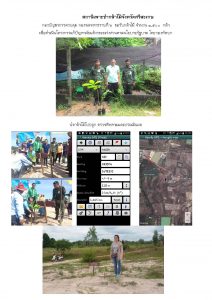 สถานีเพาะชำกล้าไม้จังหวัดศรีสะเกษ - แปลงปลูกต้นไม้59 แปลงที่ 3