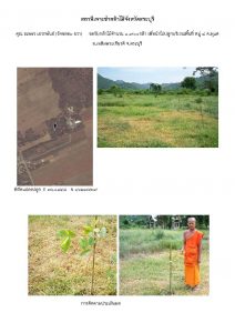 สถานีเพาะชำกล้าไม้จังหวัดสระบุรี- แปลงปลูกต้นไม้59 แปลงที่ 2