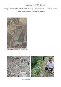 สถานีเพาะชำกล้าไม้จังหวัดสระบุรี- แปลงปลูกต้นไม้59 แปลงที่ 4