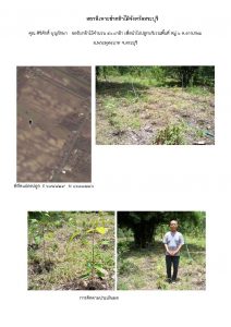 สถานีเพาะชำกล้าไม้จังหวัดสระบุรี- แปลงปลูกต้นไม้59 แปลงที่ 5