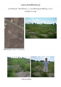 สถานีเพาะชำกล้าไม้จังหวัดสระบุรี- แปลงปลูกต้นไม้59 แปลงที่ 7