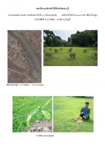 สถานีเพาะชำกล้าไม้จังหวัดสระบุรี- แปลงปลูกต้นไม้59 แปลงที่ 10