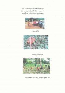 สถานีเพาะชำกล้าไม้สังคม จังหวัดหนองคาย - แปลงปลูกต้นไม้59 แปลงที่ 1