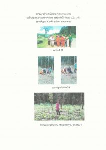 สถานีเพาะชำกล้าไม้สังคม จังหวัดหนองคาย - แปลงปลูกต้นไม้59 แปลงที่ 2