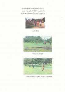 สถานีเพาะชำกล้าไม้สังคม จังหวัดหนองคาย - แปลงปลูกต้นไม้59 แปลงที่ 3