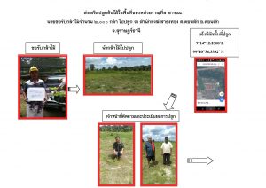 สถานีเพาะชำกล้าไม้จังหวัดสุราษฎร์ธานี-แปลงปลูก59 แปลงที่ 1