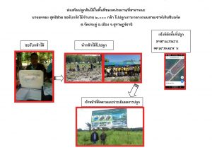 สถานีเพาะชำกล้าไม้จังหวัดสุราษฎร์ธานี-แปลงปลูก59 แปลงที่ 2