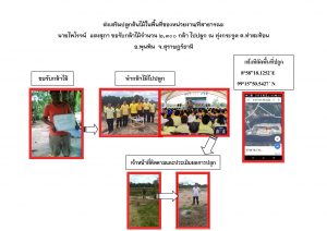 สถานีเพาะชำกล้าไม้จังหวัดสุราษฎร์ธานี-แปลงปลูก59 แปลงที่ 3