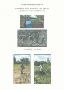 สถานีเพาะชำกล้าไม้จังหวัดหนองคาย - แปลงปลูกต้นไม้59 แปลงที่ 1