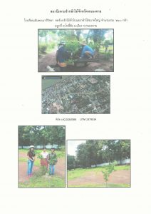 สถานีเพาะชำกล้าไม้จังหวัดหนองคาย - แปลงปลูกต้นไม้59 แปลงที่ 4