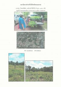 สถานีเพาะชำกล้าไม้จังหวัดหนองคาย - แปลงปลูกต้นไม้59 แปลงที่ 5