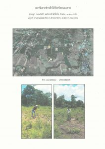 สถานีเพาะชำกล้าไม้จังหวัดหนองคาย - แปลงปลูกต้นไม้59 แปลงที่ 6