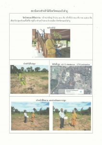 สถานีเพาะชำกล้าไม้จังหวัดหนองบัวลำภู - แปลงปลูกต้นไม้59 แปลงที่ 1