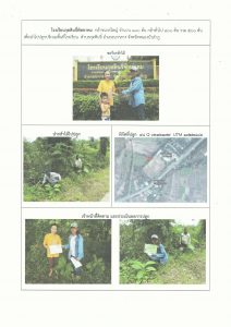 สถานีเพาะชำกล้าไม้จังหวัดหนองบัวลำภู - แปลงปลูกต้นไม้59 แปลงที่ 2