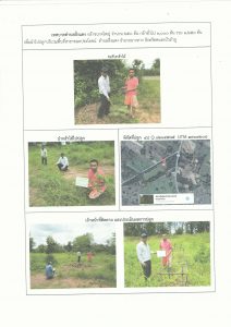 สถานีเพาะชำกล้าไม้จังหวัดหนองบัวลำภู - แปลงปลูกต้นไม้59 แปลงที่ 3