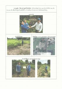 สถานีเพาะชำกล้าไม้จังหวัดหนองบัวลำภู - แปลงปลูกต้นไม้59 แปลงที่ 4