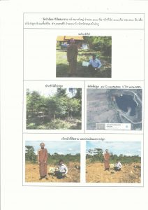 สถานีเพาะชำกล้าไม้จังหวัดหนองบัวลำภู - แปลงปลูกต้นไม้59 แปลงที่ 5