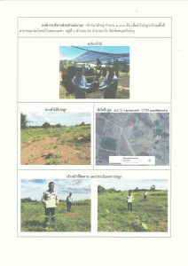 สถานีเพาะชำกล้าไม้จังหวัดหนองบัวลำภู - แปลงปลูกต้นไม้59 แปลงที่ 6