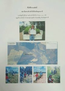 สถานีเพาะชำกล้าไม้จังหวัดอุดรธานี - แปลงปลูกต้นไม้59 แปลงที่ 1