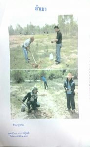 สถานีเพาะชำกล้าไม้จังหวัดอุบลราชธานี - แปลงปลูกต้นไม้59 แปลงที่ 1 (ภาพที่ 3)