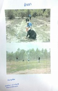 สถานีเพาะชำกล้าไม้จังหวัดอุบลราชธานี - แปลงปลูกต้นไม้59 แปลงที่ 1 (ภาพที่ 2)