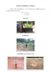 สถานีเพาะชำกล้าไม้เวียงสา จังหวัดน่าน- แปลงปลูกต้นไม้59 