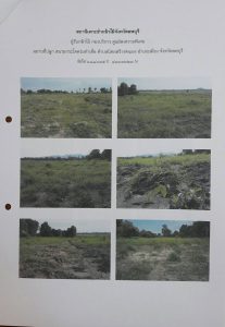 สถานีเพาะชำกล้าไม้จังหวัดลพบุรี-แปลงปลูกต้นไม้ 59 แปลงที่ 1