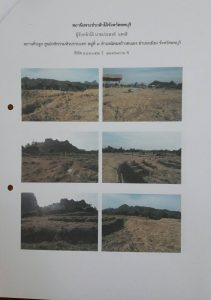 สถานีเพาะชำกล้าไม้จังหวัดลพบุรี-แปลงปลูกต้นไม้ 59 แปลงที่ 3