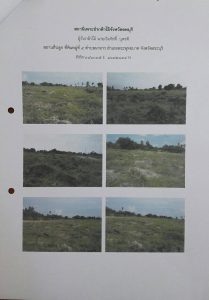 สถานีเพาะชำกล้าไม้จังหวัดลพบุรี-แปลงปลูกต้นไม้ 59 แปลงที่ 4