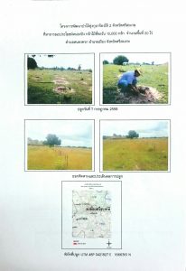 โครงการพัฒนาป่าไม้ทุ่งกุลาร้องไห้ 2 จังหวัดศรีสะเกษ - แปลงปลูกต้นไม้ 59 แปลงที่ 4