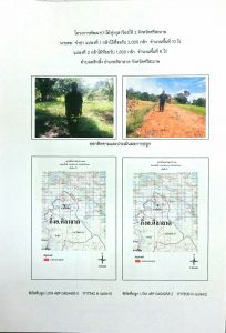 โครงการพัฒนาป่าไม้ทุ่งกุลาร้องไห้ 2 จังหวัดศรีสะเกษ - แปลงปลูกต้นไม้ 59 แปลงที่ 6