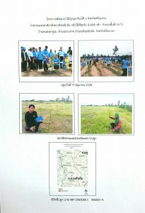 โครงการพัฒนาป่าไม้ทุ่งกุลาร้องไห้ 2 จังหวัดศรีสะเกษ - แปลงปลูกต้นไม้ 59 แปลงที่ 7