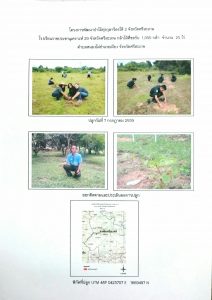 โครงการพัฒนาป่าไม้ทุ่งกุลาร้องไห้ 2 จังหวัดศรีสะเกษ - แปลงปลูกต้นไม้ 59 แปลงที่ 8