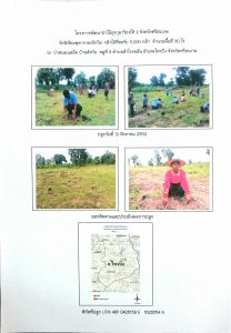 โครงการพัฒนาป่าไม้ทุ่งกุลาร้องไห้ 2 จังหวัดศรีสะเกษ - แปลงปลูกต้นไม้ 59 แปลงที่ 11