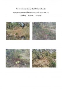 โครงการพัฒนาป่าไม้ทุ่งกุลาร้องไห้ 1 จังหวัดร้อยเอ็ด - แปลงปลูกต้นไม้ 59 แปลงที่ 1