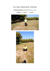 โครงการพัฒนาป่าไม้ทุ่งกุลาร้องไห้ 1 จังหวัดร้อยเอ็ด - แปลงปลูกต้นไม้ 59 แปลงที่ 2