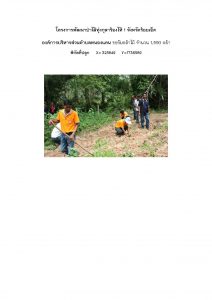 โครงการพัฒนาป่าไม้ทุ่งกุลาร้องไห้ 1 จังหวัดร้อยเอ็ด - แปลงปลูกต้นไม้ 59 แปลงที่ 3